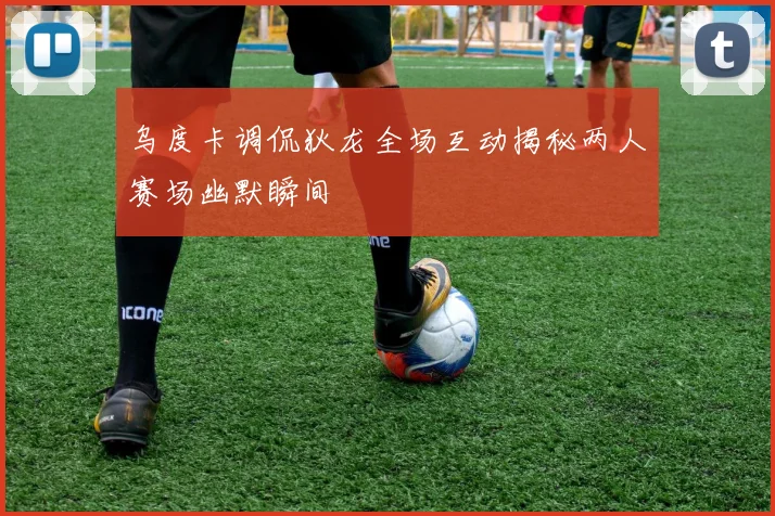 乌度卡调侃狄龙全场互动揭秘两人赛场幽默瞬间