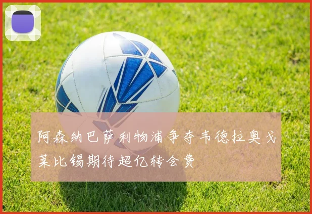 阿森纳巴萨利物浦争夺韦德拉奥戈莱比锡期待超亿转会费