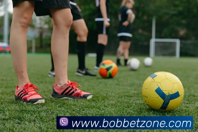 BOB体育平台生态图